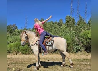 ROCKY
