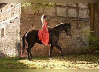Boccaccio