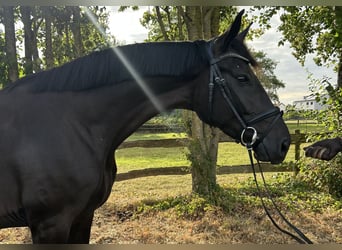 SUNBEAM