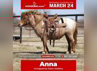 Plus de poneys/petits chevaux, Jument, 8 Ans, 86 cm, Rouan Rouge, in Canton, TX,