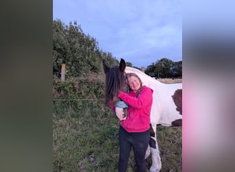 Pferdeverückte Jugendliche sucht Reitbeteiligung 