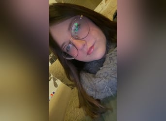 Reitbeteiligung mit Aussicht aufs Springen 