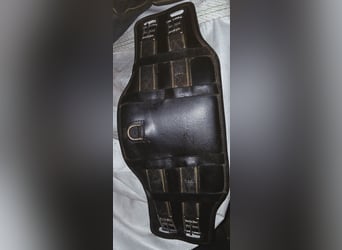 Top Reiter Entlastungsgurt 