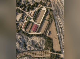 Wunderschönes Reitzentrum in Valencia (Costa Blanca)