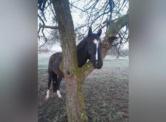 Ruin 5 Jaar Ruin 5 Jaar