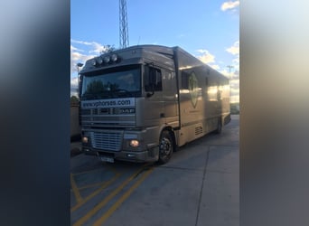 DAF XF 95 380HP 6/7 Horse and living 