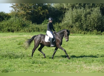 Winton