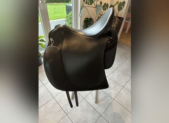 Sommer Salvadore sucht neuen Lieblingsrücken Sommer Salvadore sucht neuen Lieblingsrücken