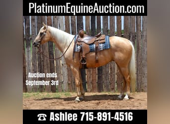American Quarter Horse, Ruin, 6 Jaar, Palomino, in STEPHENVILLE, TX,