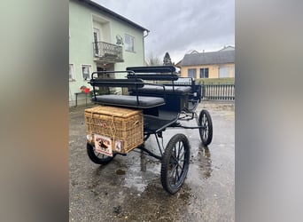 Kutsche, Ein- und Zweipänner