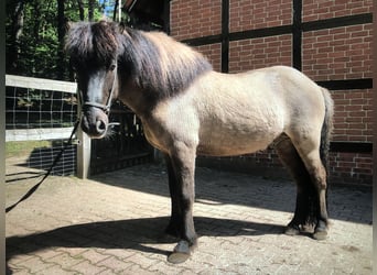 Gráni von Welkensiek