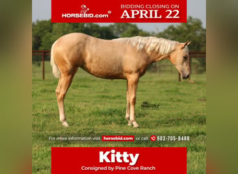 American Quarter Horse, Stute, 1 Jahr, 137 cm, Palomino, in Canton, TX,