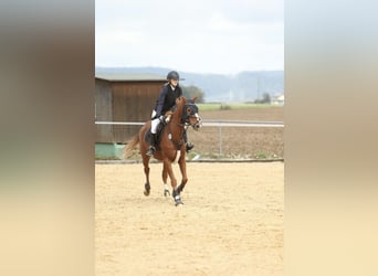 Mare 9 years