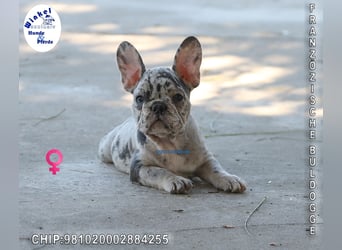 Tierpfleger/in in Dorsten gesucht