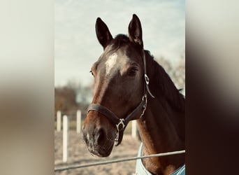 Merrie 10 Jaar