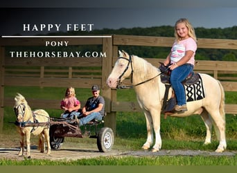 Happy Feet
