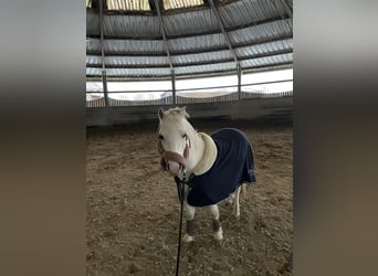 ThreeStars Cadno Coch