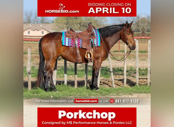 Quarter horse américain, Hongre, 8 Ans, Bai cerise, in Stephenville, TX,