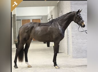 HESSELHOEJ.DK AUCTION