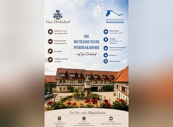 Pferdewirt gesucht