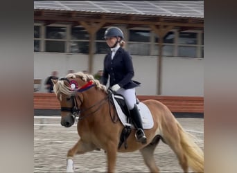 Simon van Huize Stootshorn