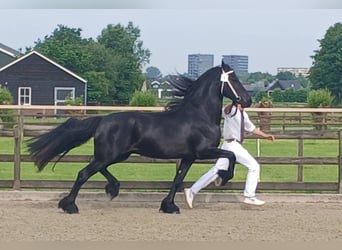 Watse R van 't Kempke