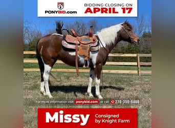 Plus de poneys/petits chevaux, Jument, 16 Ans, 135 cm, in Princeton, KY,