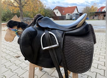 Prestige Venezia  Prestige Venezia