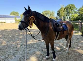 Danko