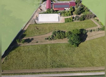 Exklusives Anwesen mit Wohnhaus, Reitanlage, Werkstatt und Photovoltaik – Sofort bezugsfertig 