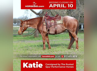 American Quarter Horse, Stute, 8 Jahre, Roan-Red, in Burleson, TX,