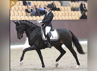 HESSELHOEJ.DK AUCTION