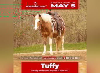 Meer ponys/kleine paarden, Ruin, 4 Jaar, 112 cm, in Fresno, OH,