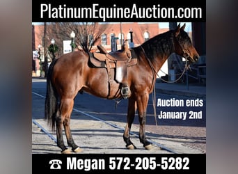 American Quarter Horse, Ruin, 10 Jaar, 163 cm, Roan-Bay, in Guthrie, OK,