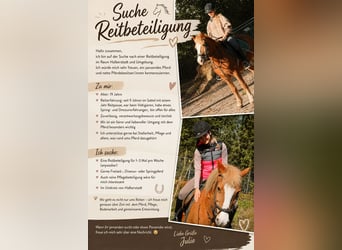 Suche Reitbeteiligung