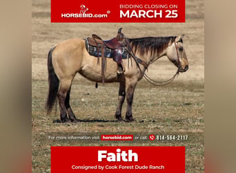 American Quarter Horse, Mare, 10 years, 15 hh, Buckskin, in Cooksburg,