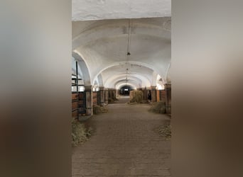 Boxen Einstellplätze frei
