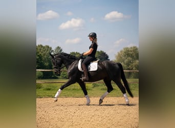 Florenciana FS