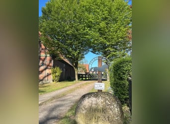 Mitarbeiter(in) Mitarbeiter(in)