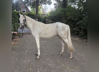 Ruin 3 Jaar