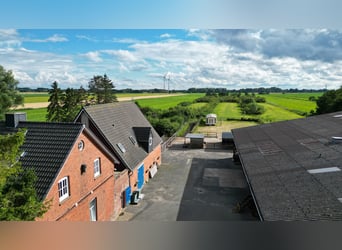 Traumhaftes Anwesen für Pferdebesitzer - Kernsaniertes Landhaus: auf 2,9 Hektar Land!