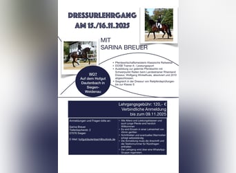 DRESSURLEHRGANG bei Pferdewirtschaftsmeisterin Sarina Breuer DRESSURLEHRGANG bei Pferdewirtschaftsmeisterin Sarina Breuer