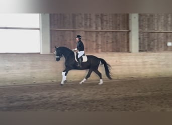 Ruin 4 Jaar