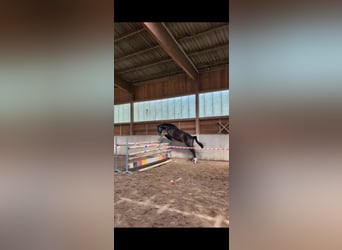 Ruin 4 Jaar