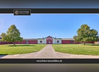 Reitanlage im Pferdepark im Maifeld – in Mitten des Sonderbaugebietes “Wohnen mit Pferden” in Lonnig Reitanlage im Pferdepark im Maifeld – in Mitten des Sonderbaugebietes “Wohnen mit Pferden” in Lonnig