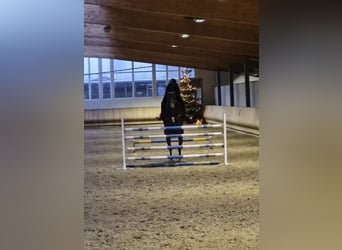 Kiara 143