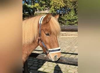 Wallach 10 Jahre