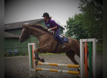 Mensch sucht Pferd 