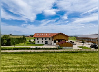Außergewöhnliche Neubau-Reitanlage nähe Kempten im Allgäu