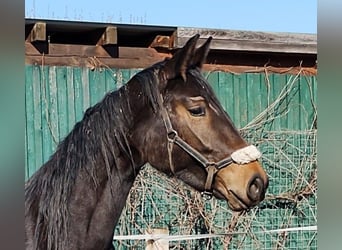 Merrie 3 Jaar